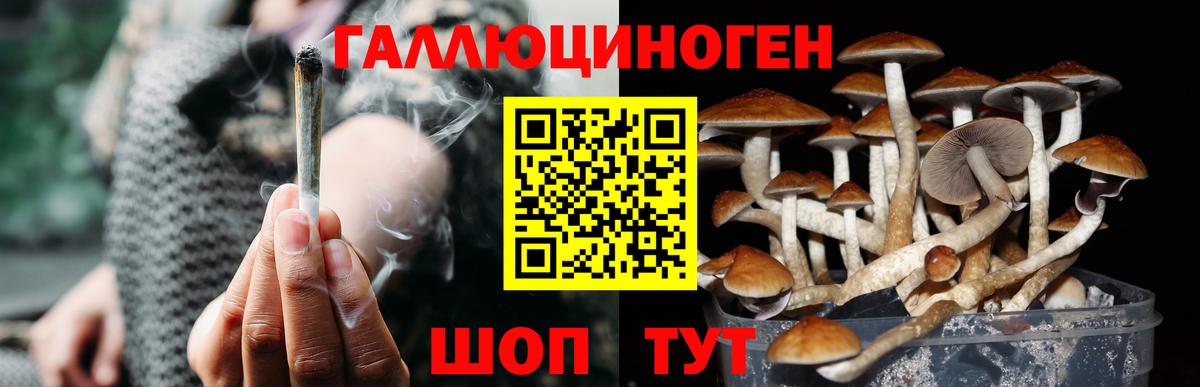 Псилоцибиновые грибы прущие грибы Великий Устюг
