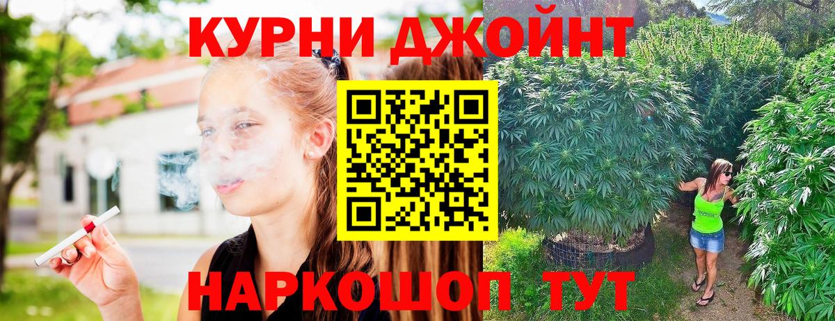 Шишки марихуана MAZAR Великий Устюг